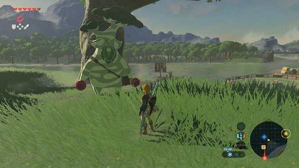 enlargement of the pouch Breath of the Wild