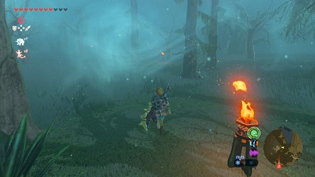 breath of wild lost woods