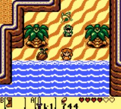 Link's Awakening walkthrough - Animal Village, Yarna Desert and